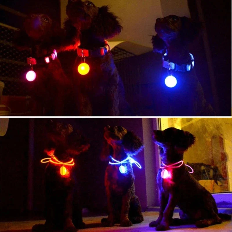 LED Dog Collar Pendant Luminous Leash - MyPetDollar.com