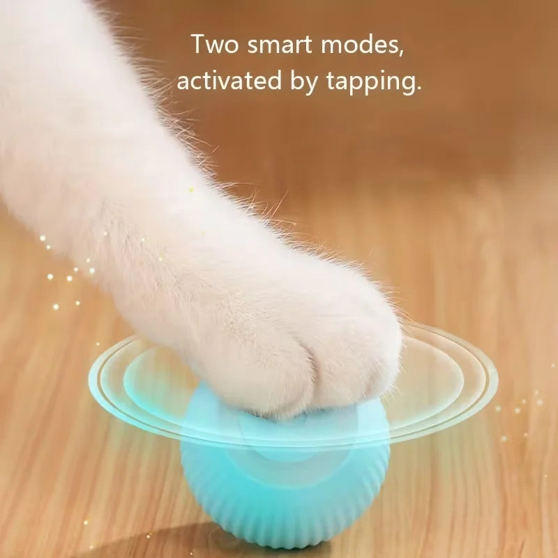 Cat Interactive Ball Smart Cat Toy - MyPetDollar.com