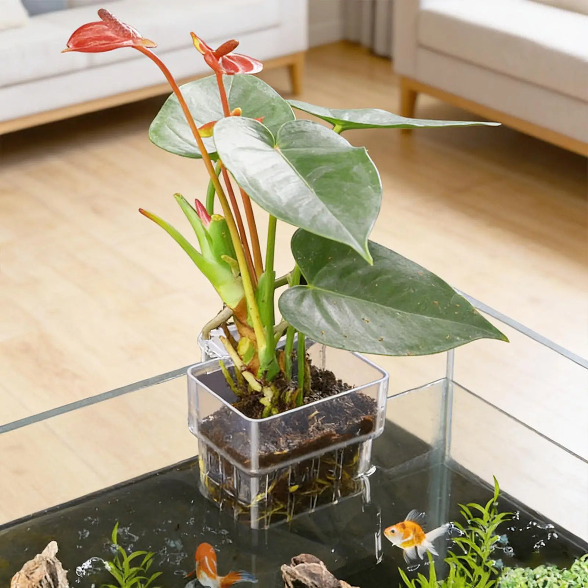 Plant Holder for Fish Tank Transparent - MyPetDollar.com