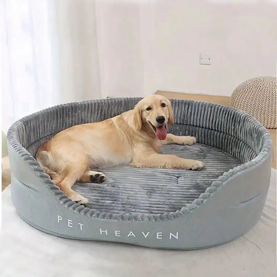 Pet Dog Supplies Dog Bed High Cushion Pet - MyPetDollar.com