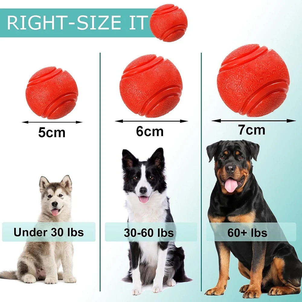Pet Solid Elastic Toy Ball Cat/Dog Toy Ball - MyPetDollar.com