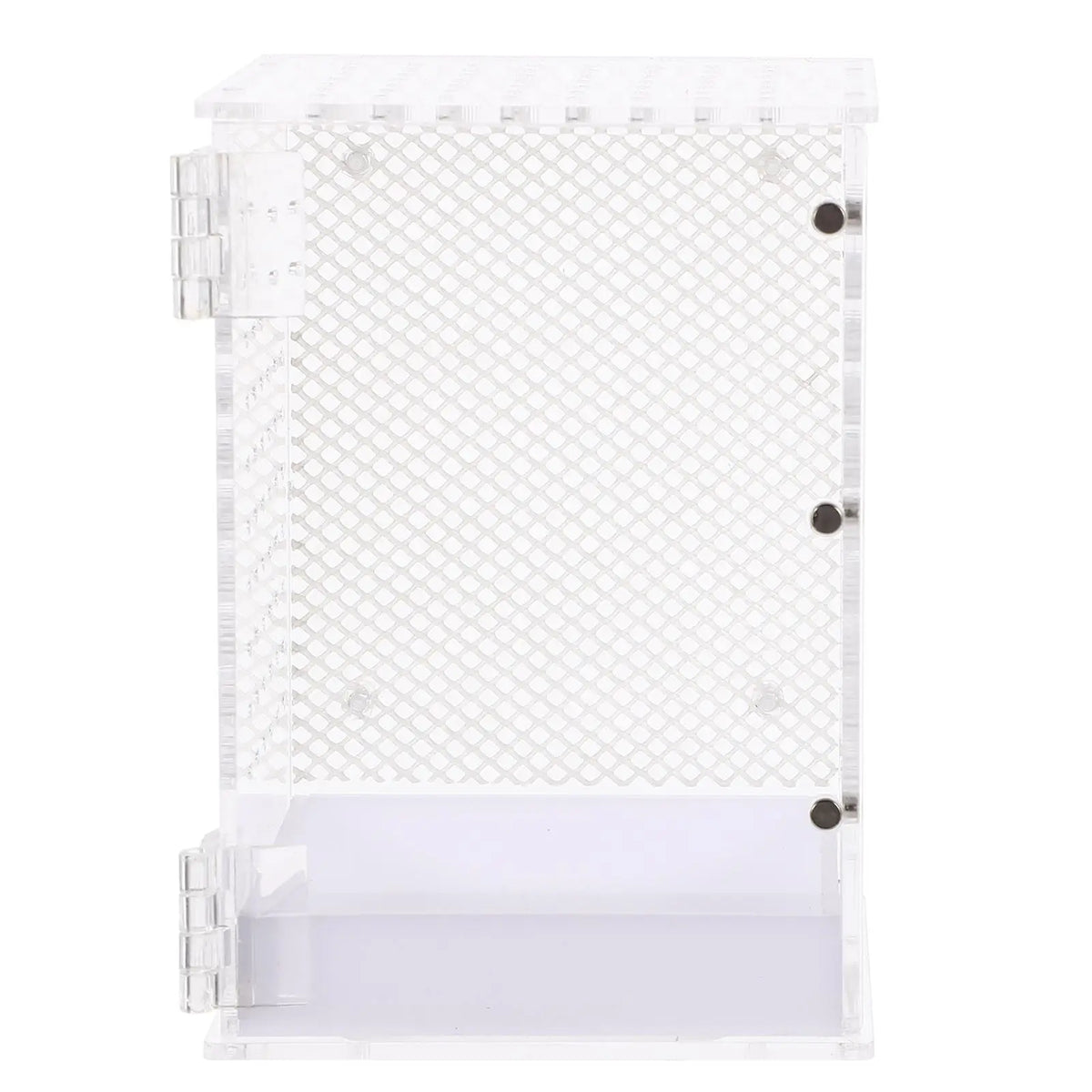 Acrylic Reptile Breeding Box Transparent - MyPetDollar.com