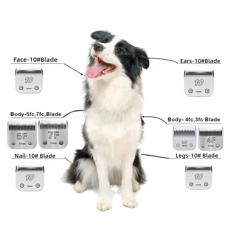 3F,4F,5F,7FC,9#,10#,30#,40#, 50# - MyPetDollar.com
