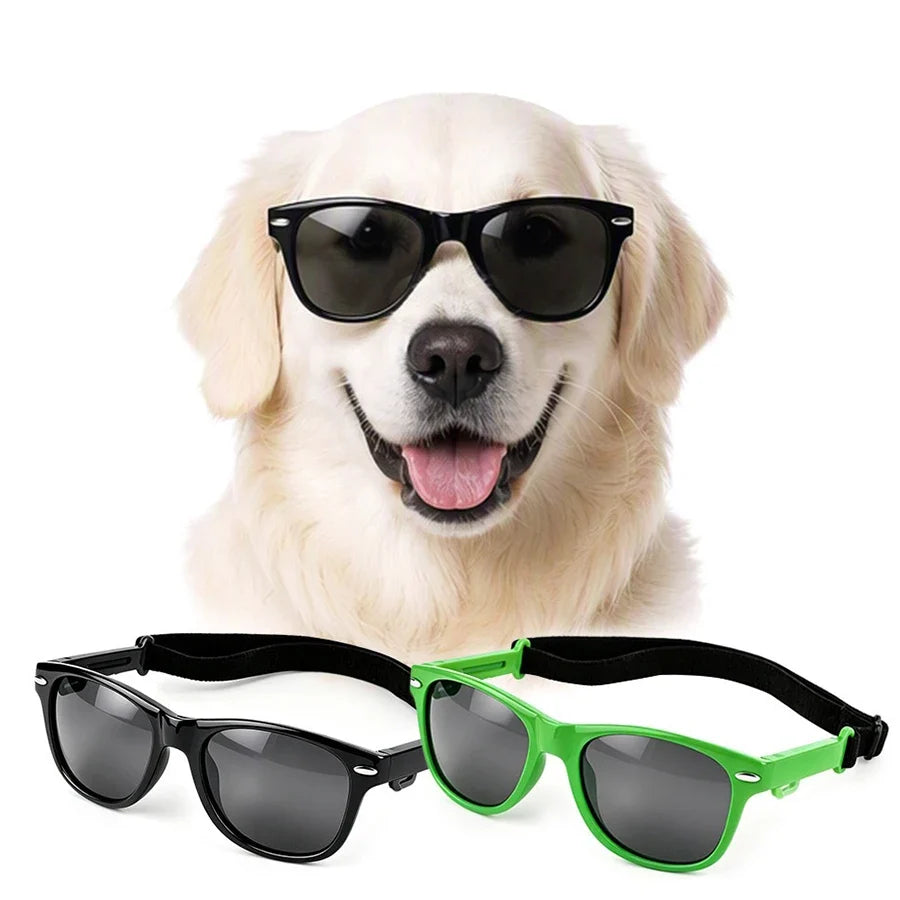 New Pet Dog Sun Glasses UV Protection - MyPetDollar.com