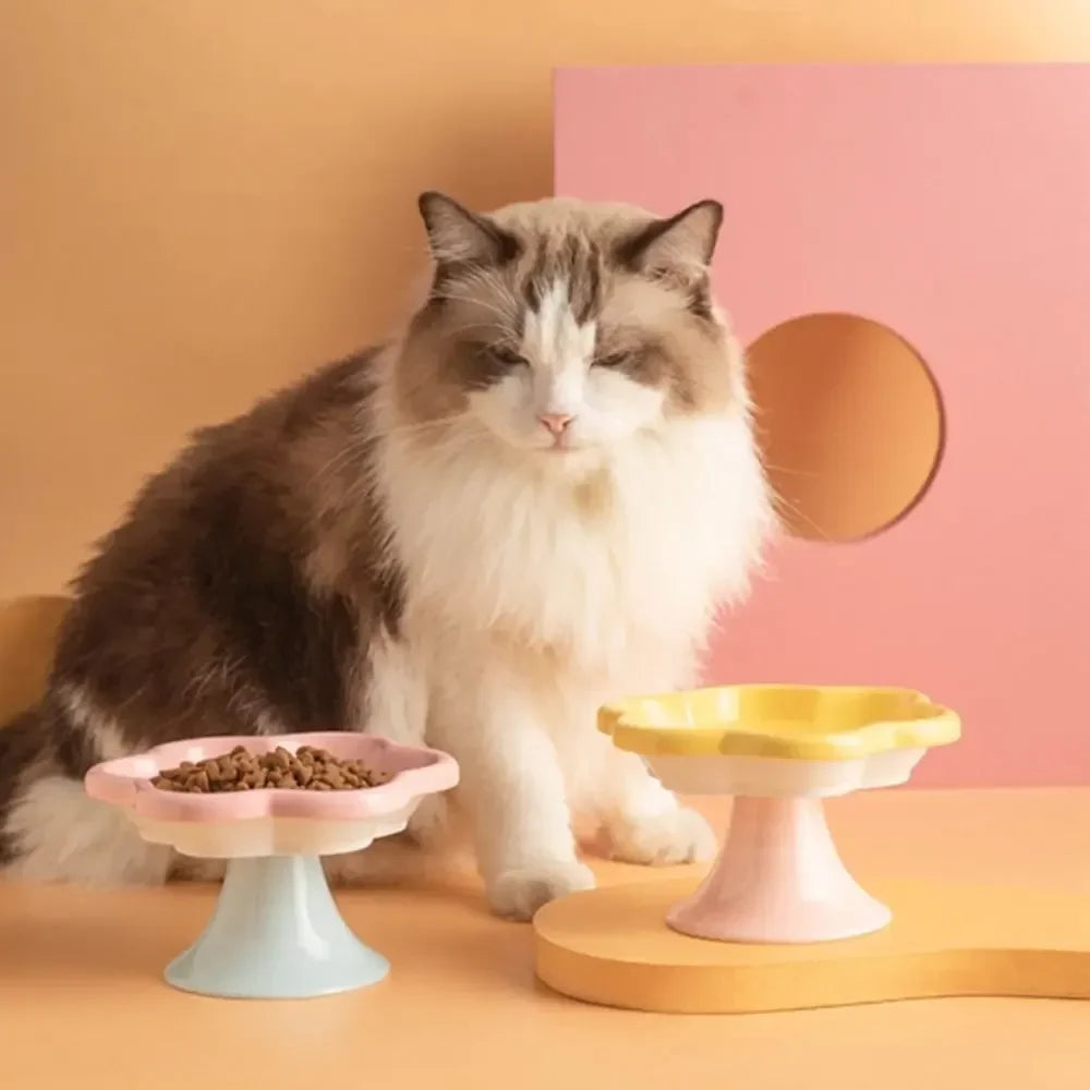 Anti Tipping Ceramic Cat Bowl Neck - MyPetDollar.com