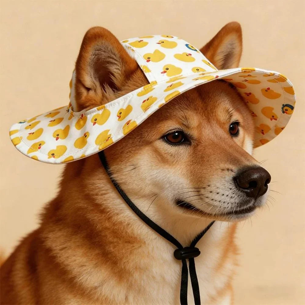Summer Pet Cat Sun Hat Dog hat With Ear - MyPetDollar.com
