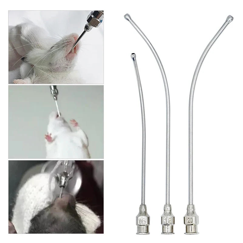 1Pcs Stainless Steel Bird Feeding Syringe - MyPetDollar.com