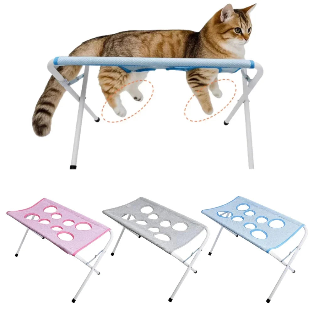 Anti-scratch Cat Nail Clipping Holder Dogs - MyPetDollar.com
