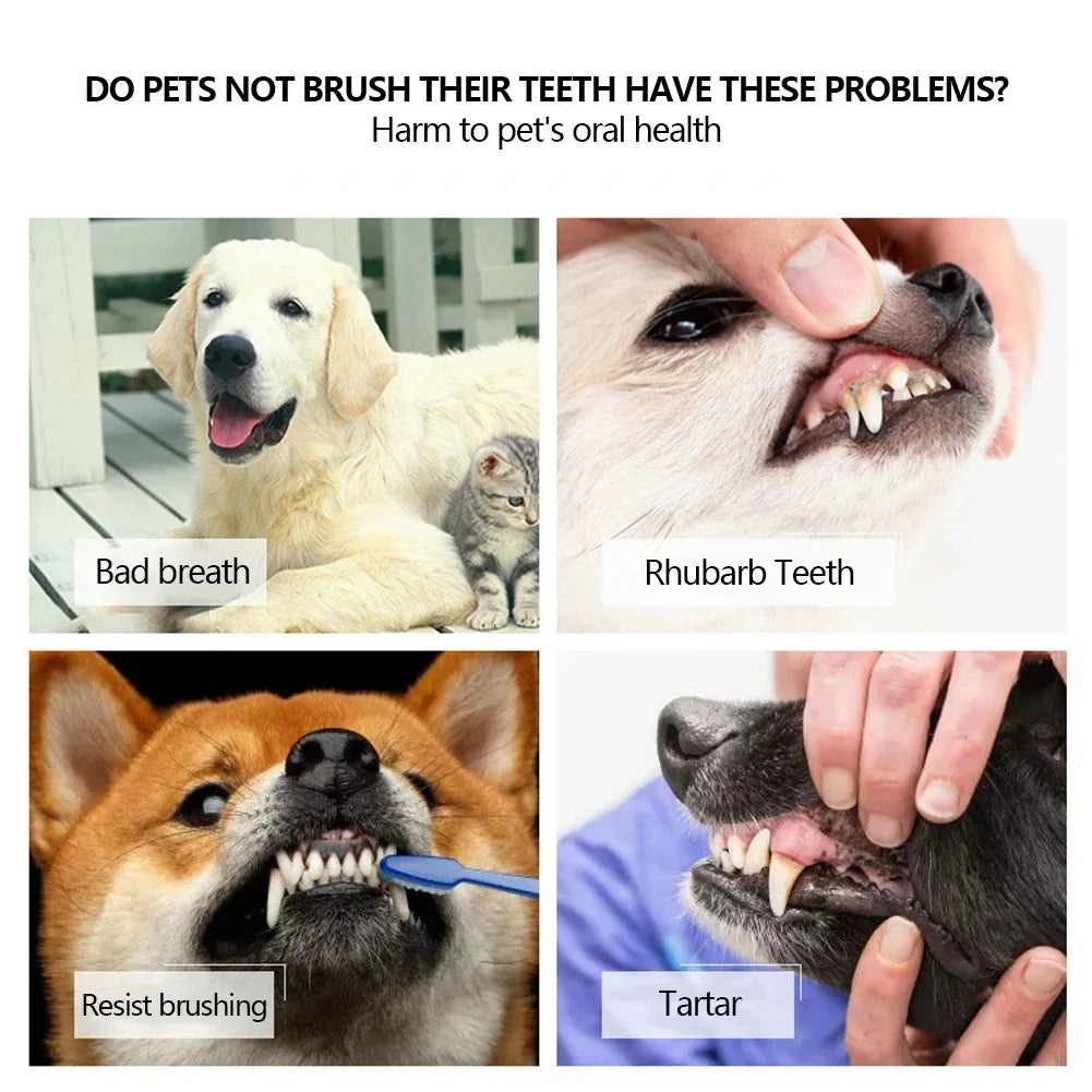 Three Sided Pet Toothbrush Three-Head - MyPetDollar.com