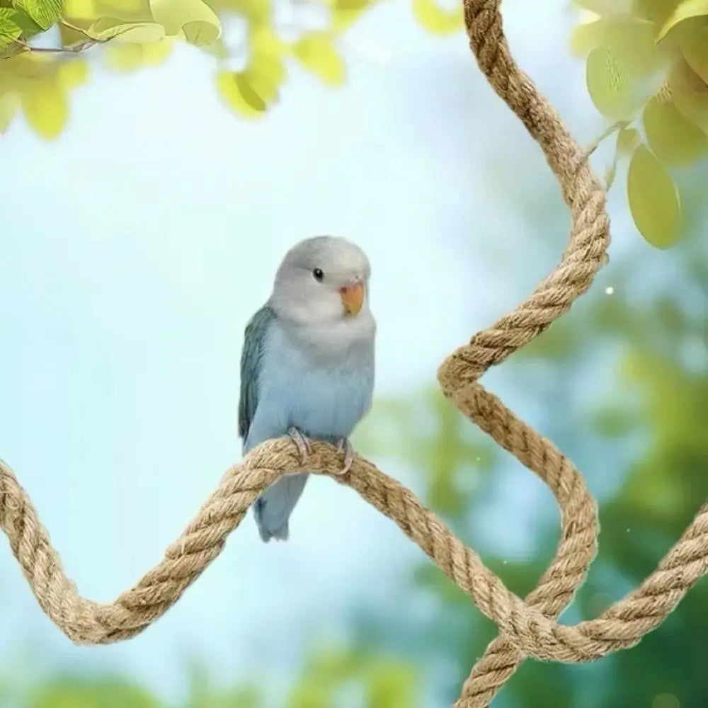 Interactive DIY Bendable Parrot Perch - MyPetDollar.com