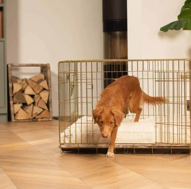 (Excluding cage) Thick Dog Cage Bed Mat Soft - MyPetDollar.com