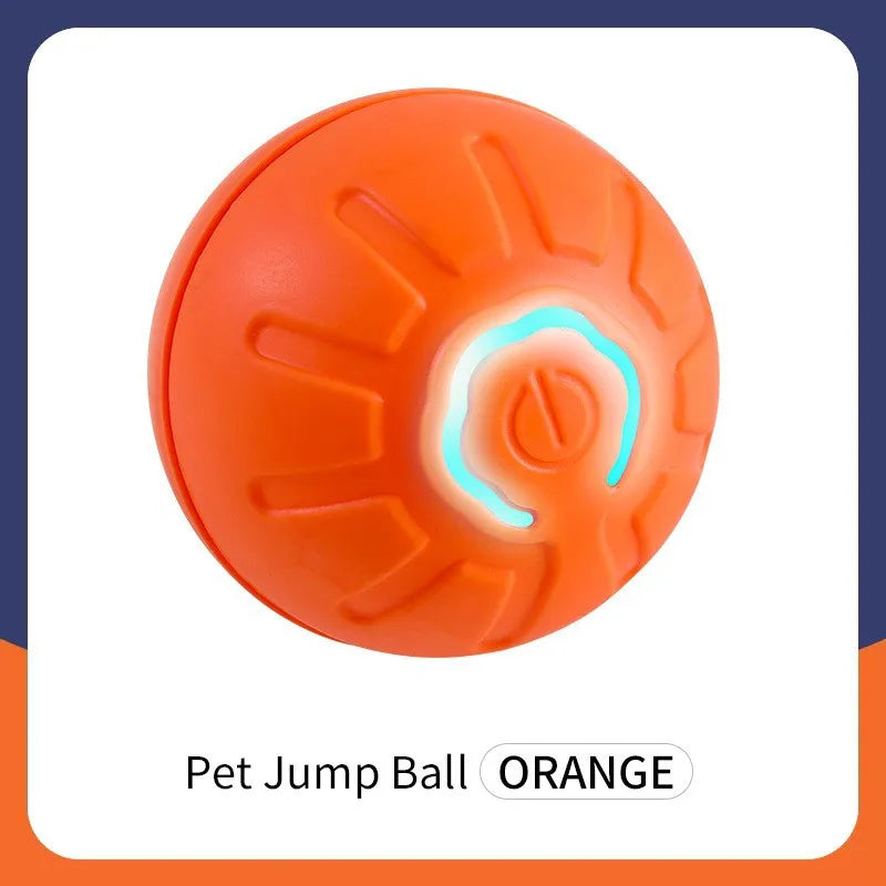 Smart Dog Plaything Ball – Dog Supplies