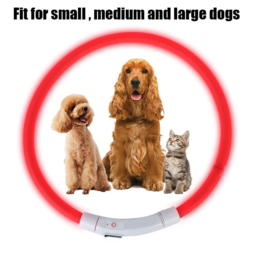 Dog Loss Prevention Led Usb Dog Collar Pet - MyPetDollar.com