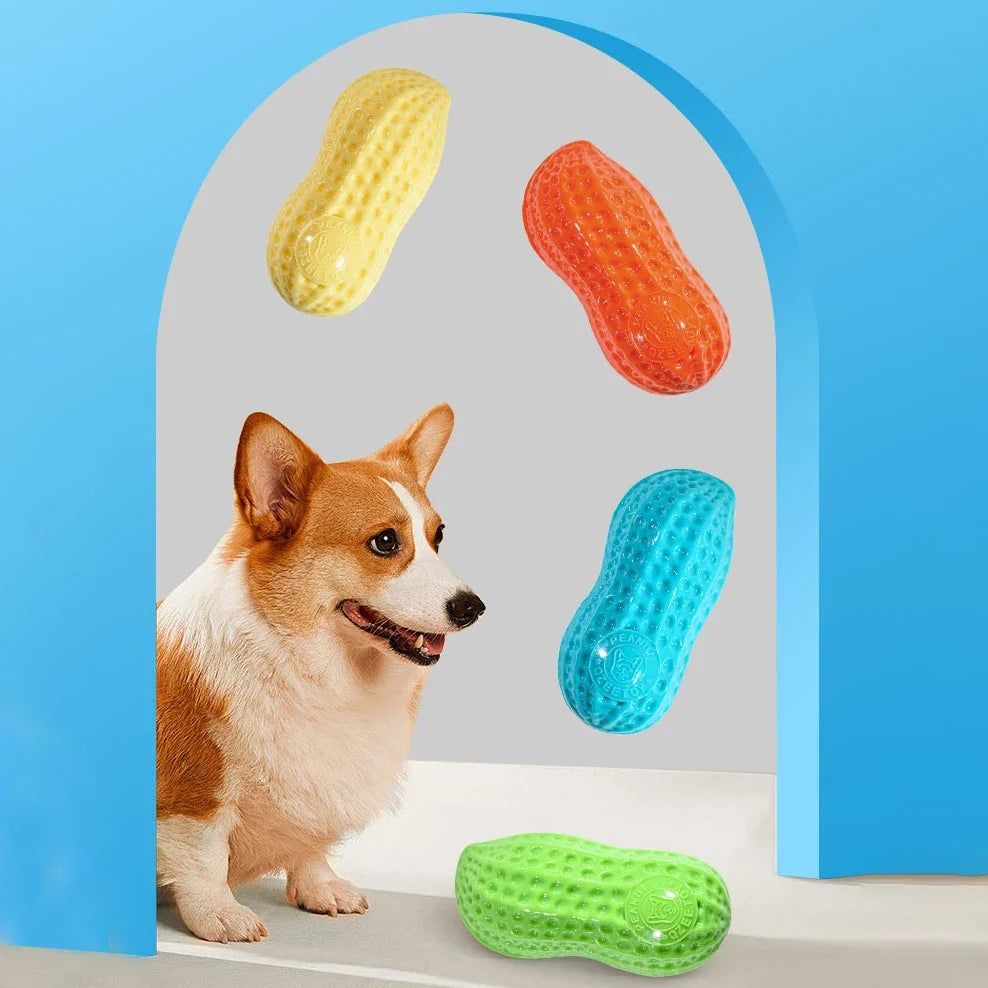 Dog Chewing Toy Simulation Peanut Squeaking - MyPetDollar.com
