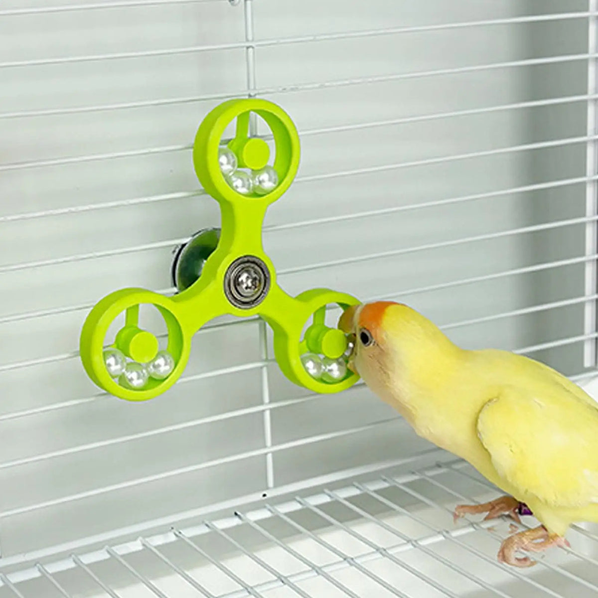 Chewing Bird Toys, Parrot Toys, Funny - MyPetDollar.com