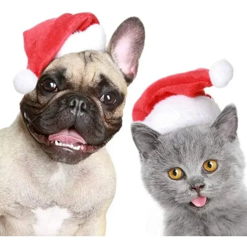 Christmas Pet Santa Hat Red Plush Soft - MyPetDollar.com