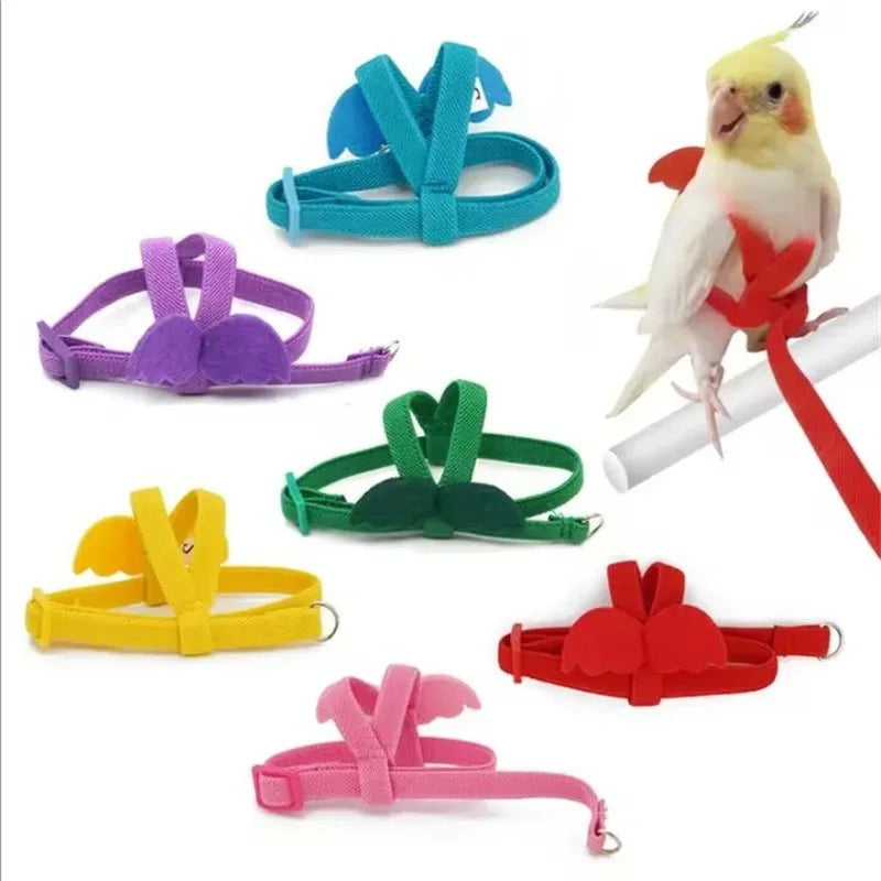 Birds Supplies Parrot Bird Harness Leash Set - MyPetDollar.com