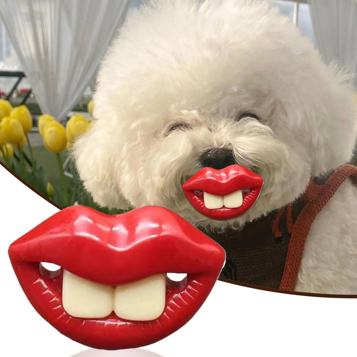 Dog Pacifiers for Small Pet Funny Dog Red - MyPetDollar.com