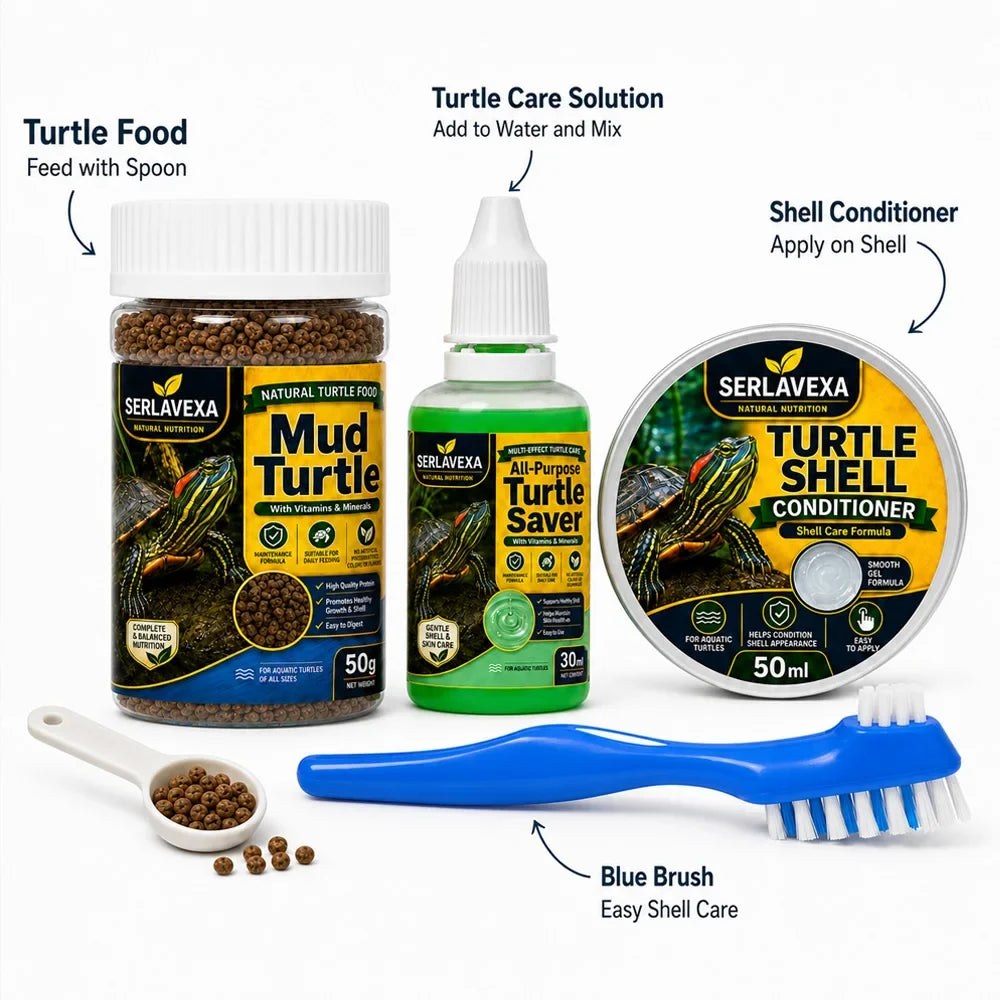 SERLAVEXA 4PCS Turtle Care Set Mud Turtle - MyPetDollar.com