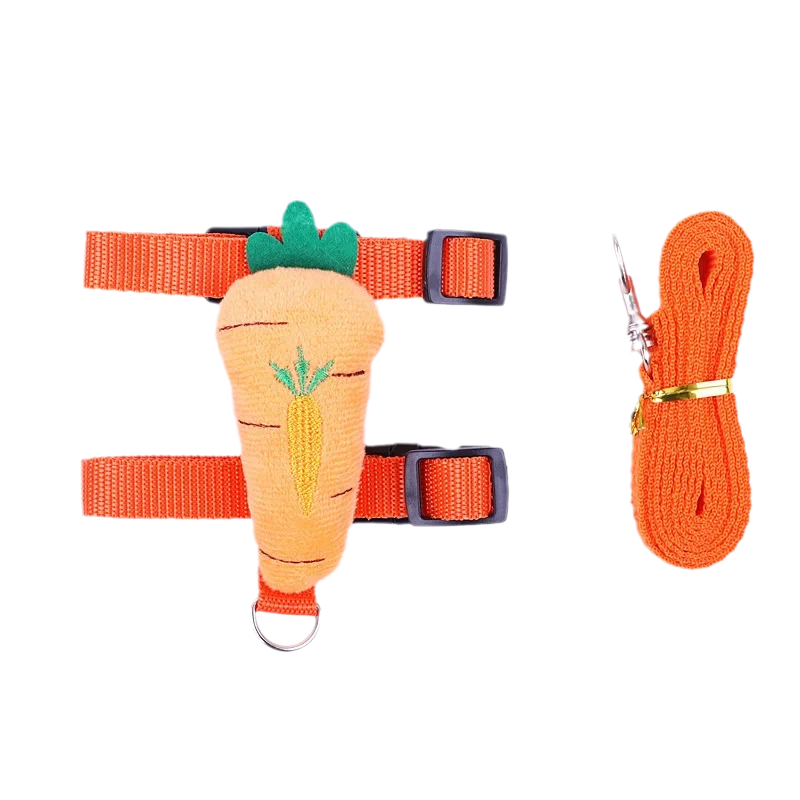 Small Animals Outdoor Wakling Supplies - MyPetDollar.com