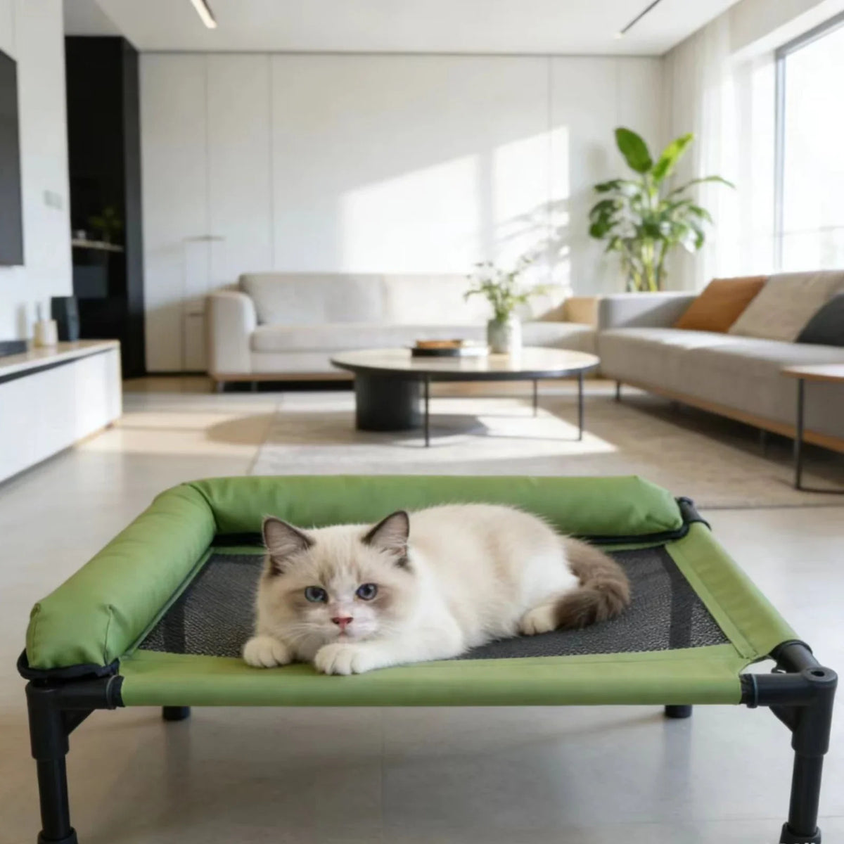 Raised Pet Bed Iron Frame Mesh Pet Bed - MyPetDollar.com