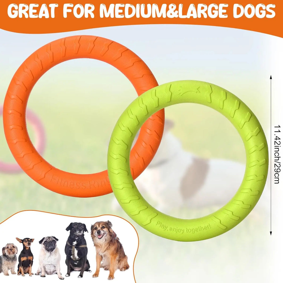 Durable Dog Flying Disc Chew Toy - Floating - MyPetDollar.com