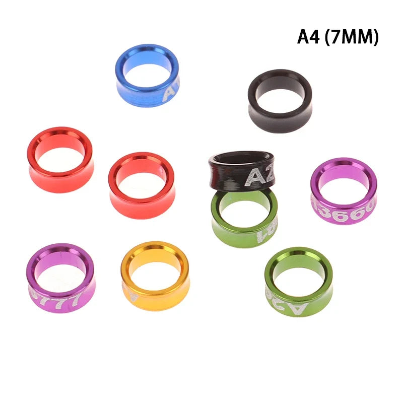 Outdoor Bird Flying Training Ring – 5 Colors