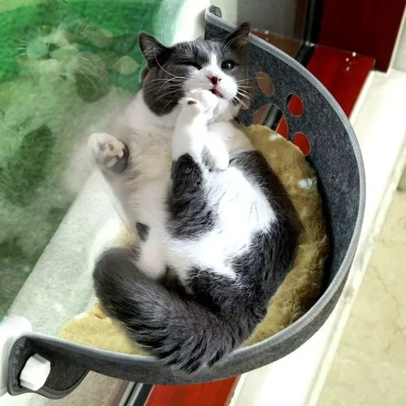 Cat Window Hammock for Cats Small Pets Round - MyPetDollar.com