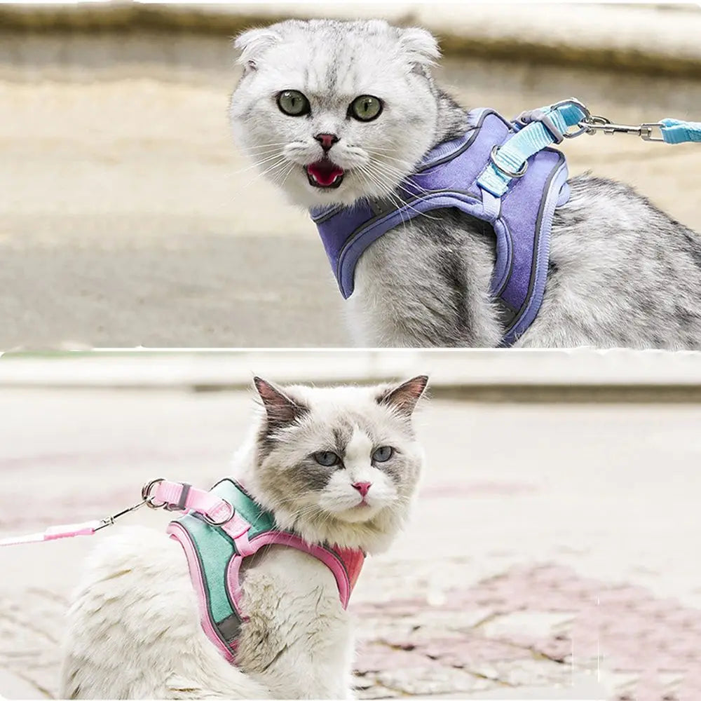 Anti-leak For Cat Puppy,Rabbit Soft Vest - MyPetDollar.com