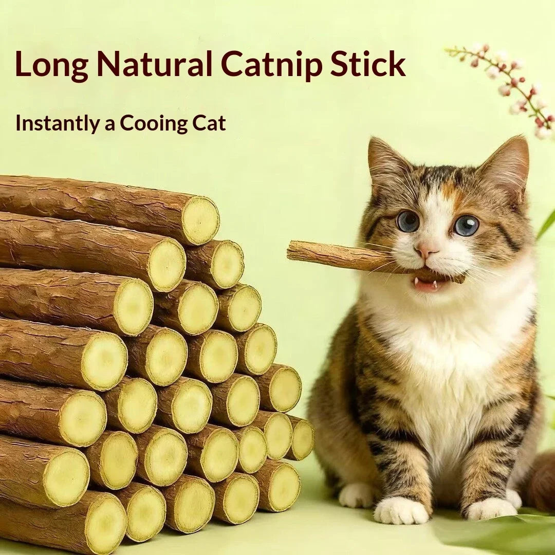 Natural Woodruff Cat Chew Stick Catnip Molar - MyPetDollar.com