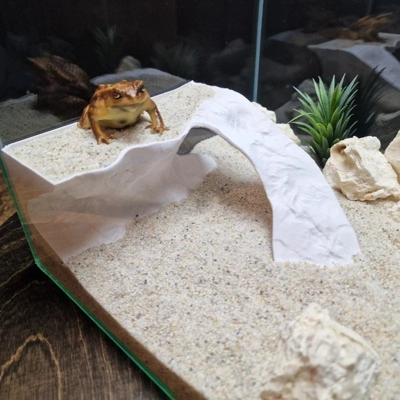 Multi-Functional 3D Printed Tidal Basking - MyPetDollar.com