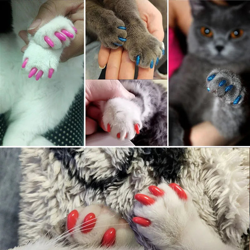 20pcs Cat Nail Caps Pet Cat Soft Paws Nail - MyPetDollar.com