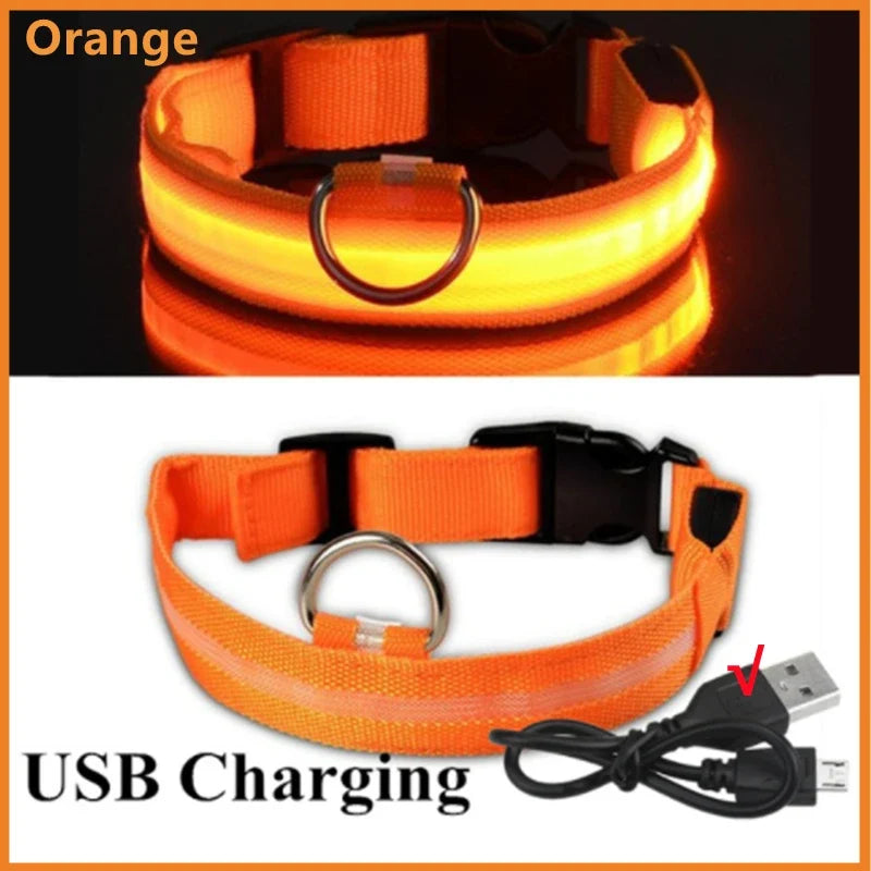 USB Rechargeable Luminous Collar Adjustable - MyPetDollar.com