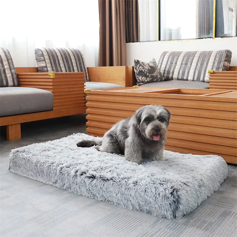 Ultra Plush Deluxe Orthopedic Foam Dog Bed - MyPetDollar.com