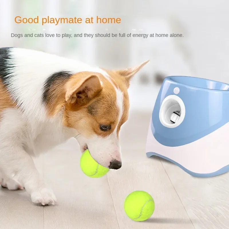 Dog Tennis Launcher Automatic Pet Dogs Chase - MyPetDollar.com