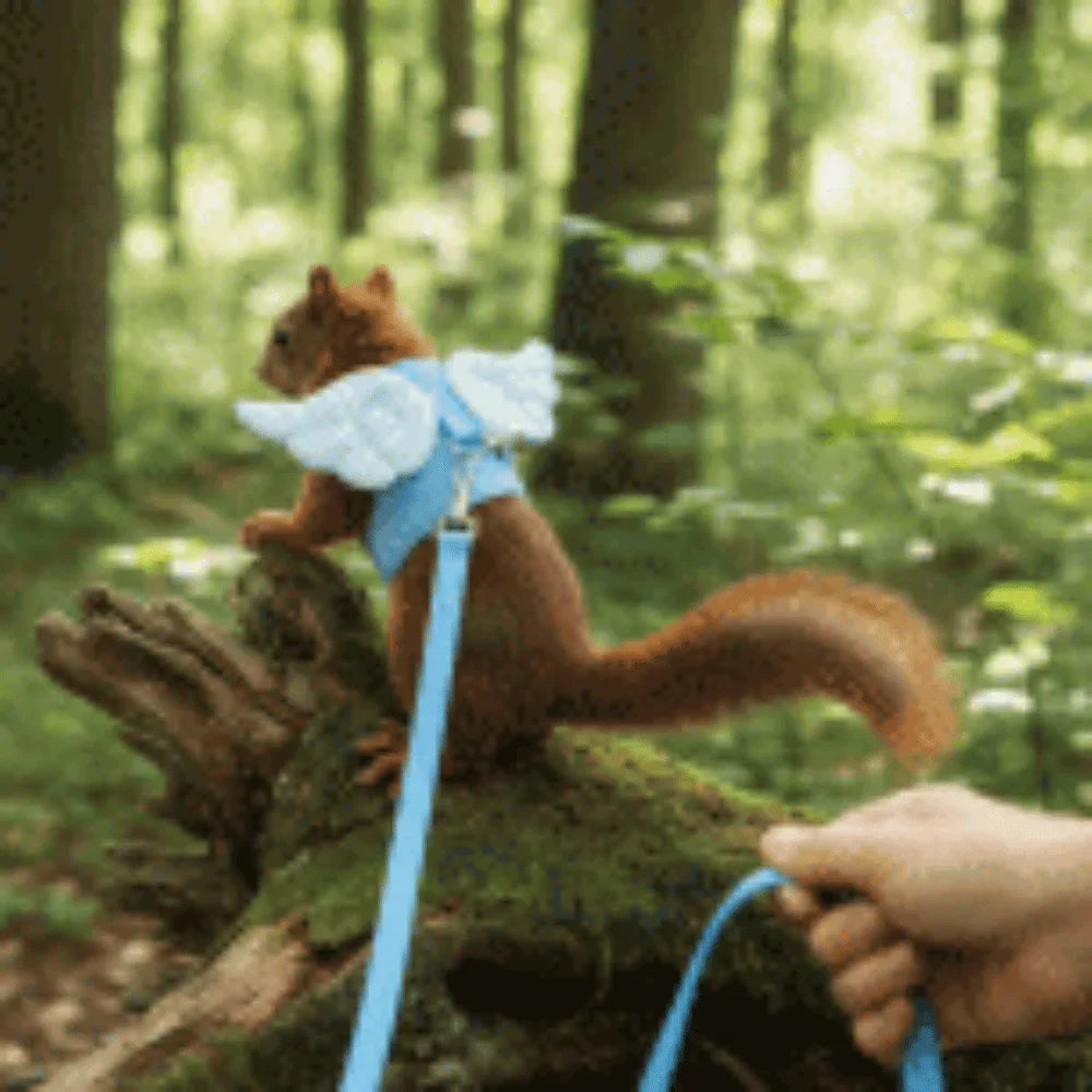 Adjustable Ferret Traction Harness Cartoon - MyPetDollar.com