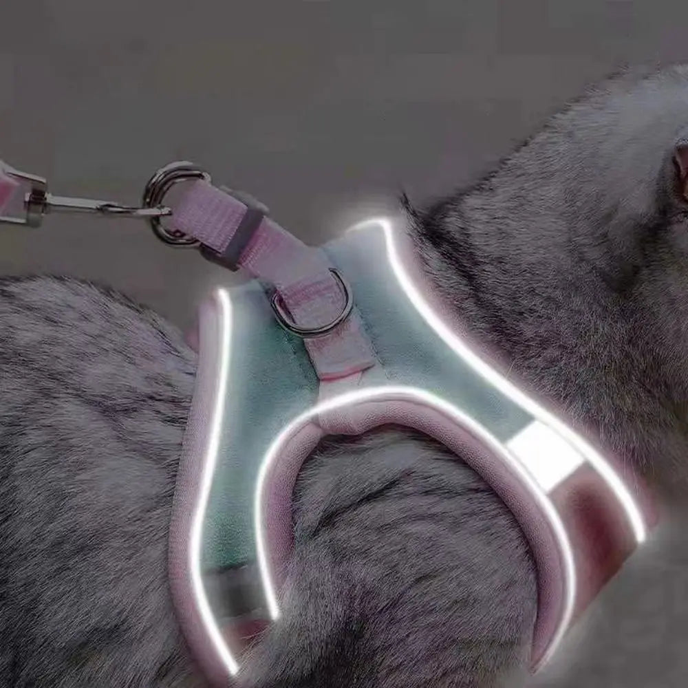 Anti-leak For Cat Puppy,Rabbit Soft Vest - MyPetDollar.com