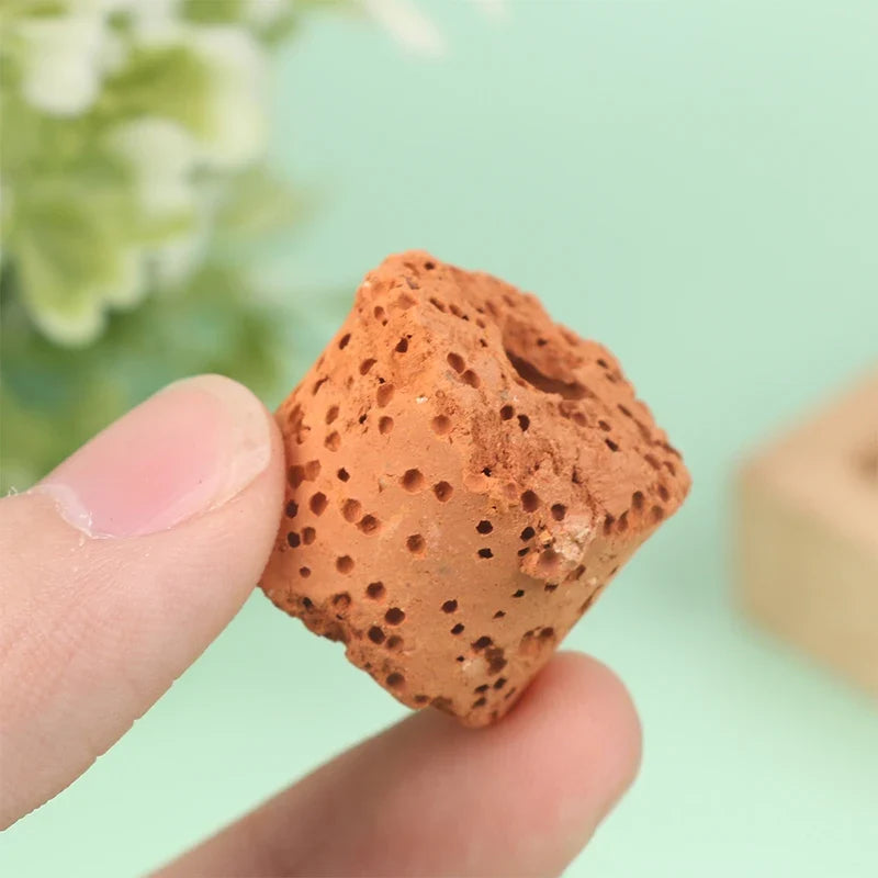 Plant Ring Aquarium Fixed Watertank Filter – Fish Feeders & Food Accessories
