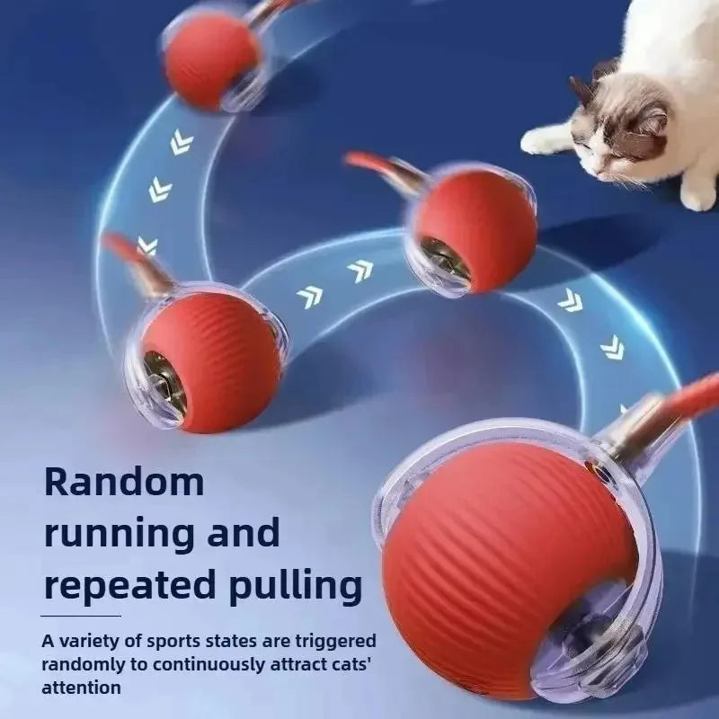 Dog Interactive Ball Toy Automatic Rolling - MyPetDollar.com