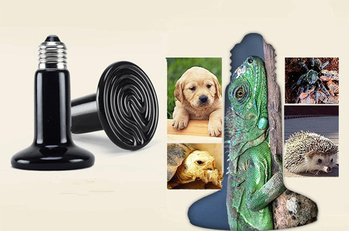 Pet Reptile Far Infrared Ceramic Heating - MyPetDollar.com