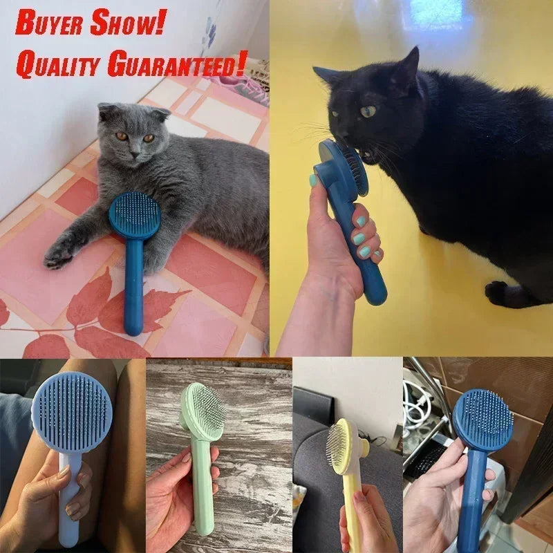 Cat Brush Pet Grooming Brush for Cats Remove - MyPetDollar.com