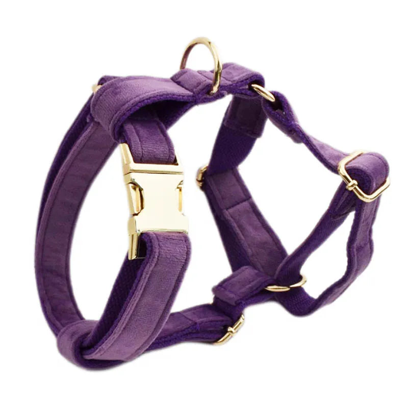 Purple Velvet Dog Collar And Leash Set For - MyPetDollar.com