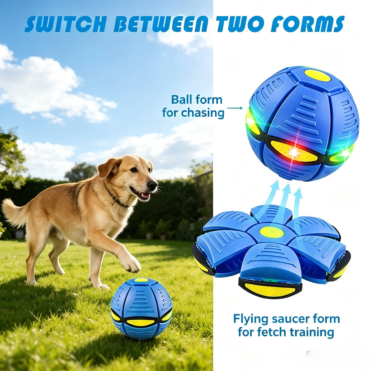 Durable Six-light Dual-mode Magical Transforming Pet Bouncy Ball