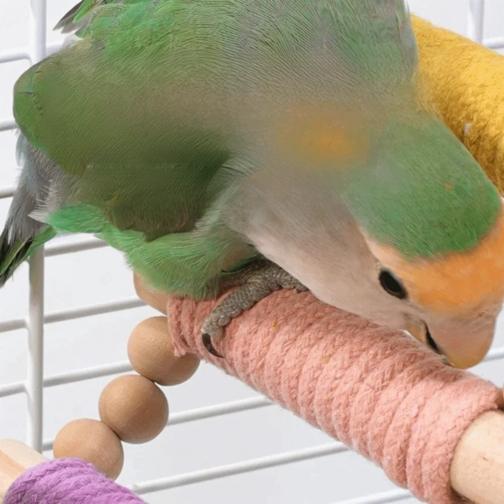 5/8/10 Steps Bird Cotton Rope Ladder Hanging - MyPetDollar.com