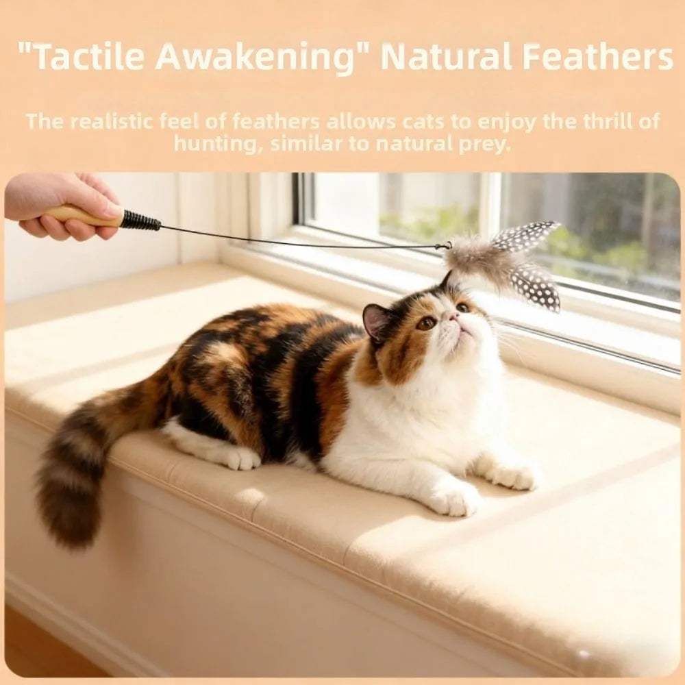 Wooden Handle Spring Teasing Cat Stick - MyPetDollar.com