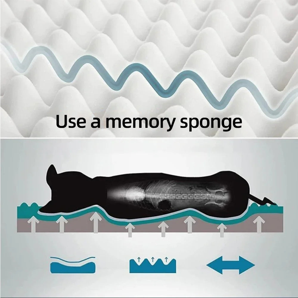 Washable Egg Memory Foam Pet Product Large - MyPetDollar.com