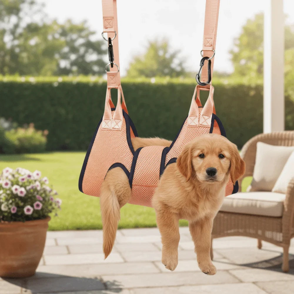 Anti Scratch Dog Grooming Hammock Bite - MyPetDollar.com