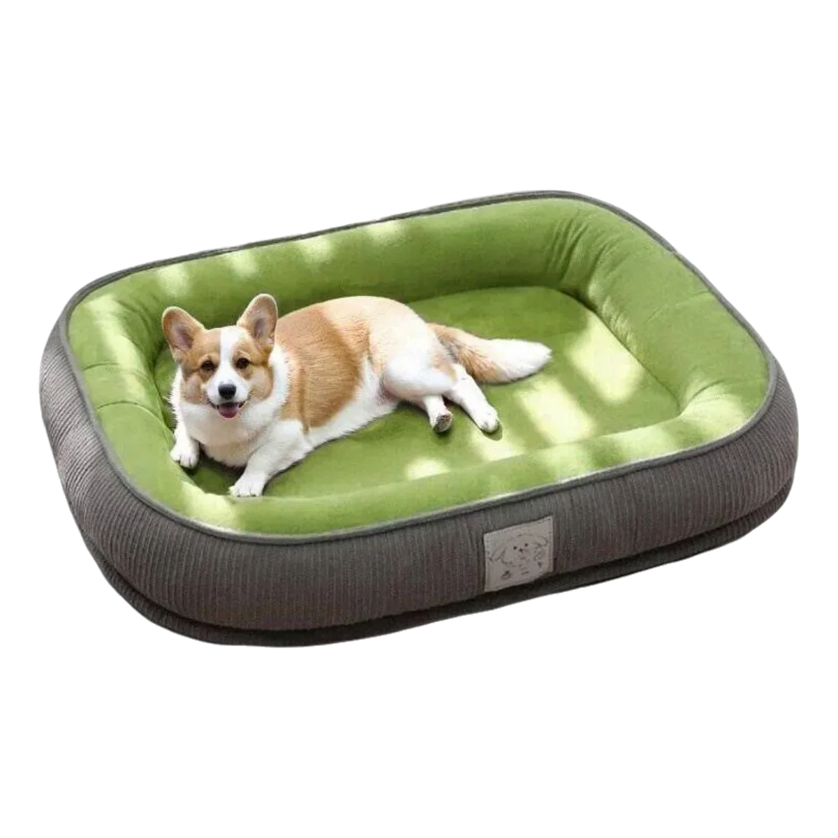 Thickened Wear Resistance Small Breed Dog - MyPetDollar.com