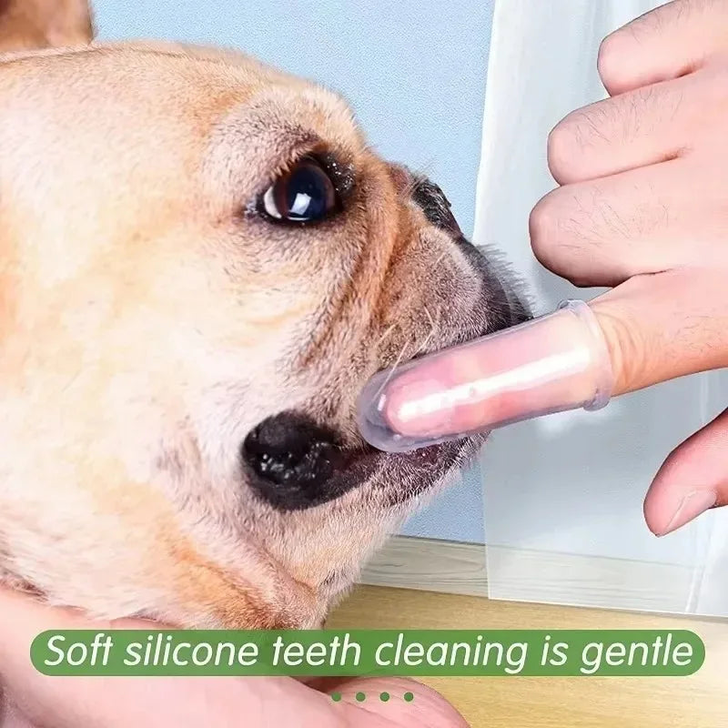 1/10/30PCS Soft Silicone Pet Finger - MyPetDollar.com