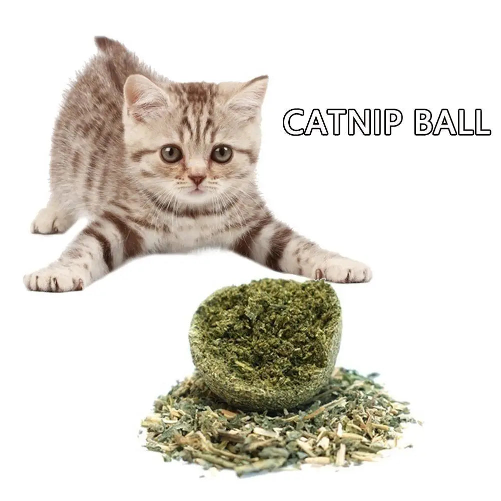 1~5PCS Natural Catnip Cat Wall Stick-on Ball - MyPetDollar.com